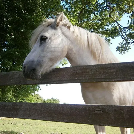 Nordwind アパート Wrixum